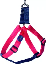 Conjunto Guia e Peitoral Vermelho com Marinho, tamanho P