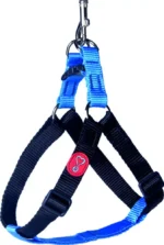 Conjunto Guia e Peitoral Walking Preto com Royal, Tamanho G