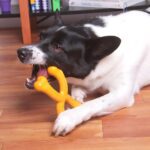 Mordedor Ilio Resistente Para Cães - Imagem 2