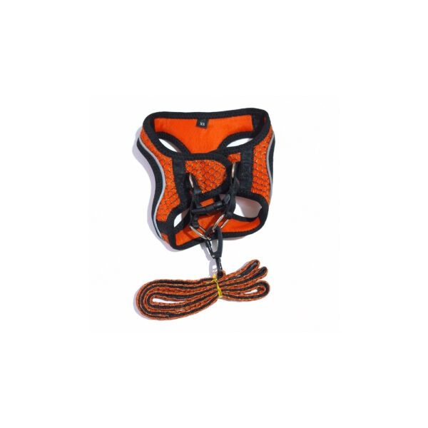 Colete Peitoral e Guia Wink PP