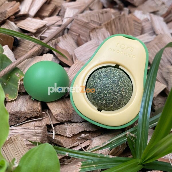 Brinquedo Avocado Abacate CatNip para Gatos Erva dos Gatos