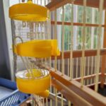 Bebedouro para Roedores 75ml e 125ml - Imagem 2