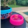 KIT Comedouro 150ml Neon Rosa Brinde Bolinha Guizo