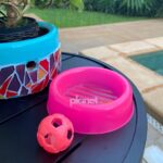 KIT Comedouro 150ml Neon Rosa Brinde Bolinha Guizo - Imagem 2