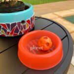 KIT Comedouro 150ml Neon Laranja Brinde Bolinha Guizo