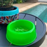 KIT Comedouro 300ml Neon Verde Brinde Bolinha Guizo