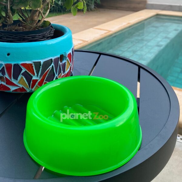 KIT Comedouro 300ml Neon Verde Brinde Bolinha Guizo